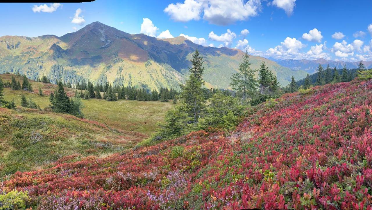 Alpengasthof Grobbauer Ξενοδοχείο Rottenmann Εξωτερικό φωτογραφία