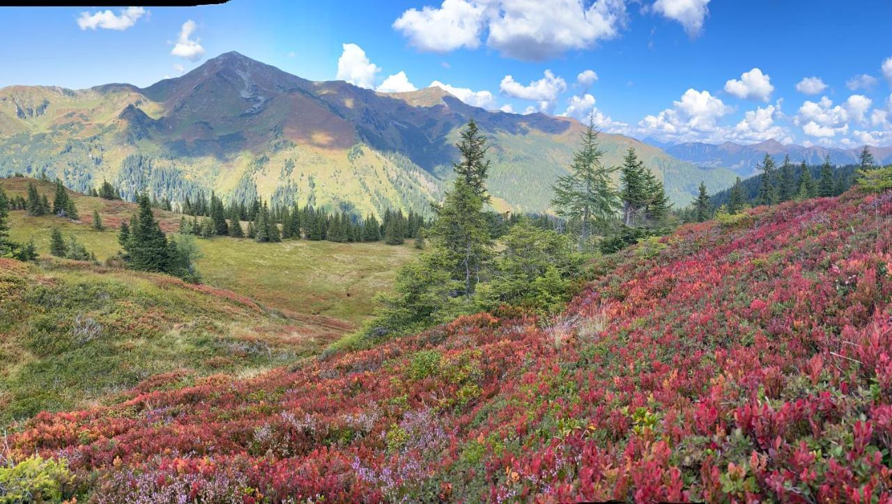 Alpengasthof Grobbauer Rottenmann Εξωτερικό φωτογραφία