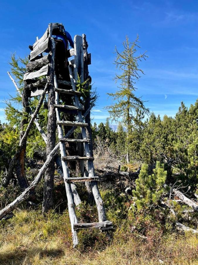 Alpengasthof Grobbauer Ξενοδοχείο Rottenmann Εξωτερικό φωτογραφία