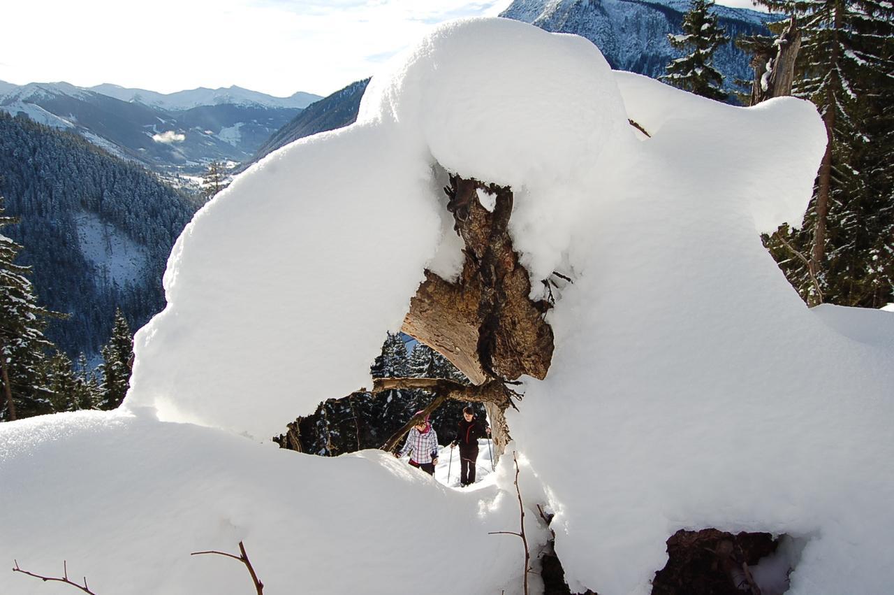 Alpengasthof Grobbauer Ξενοδοχείο Rottenmann Εξωτερικό φωτογραφία