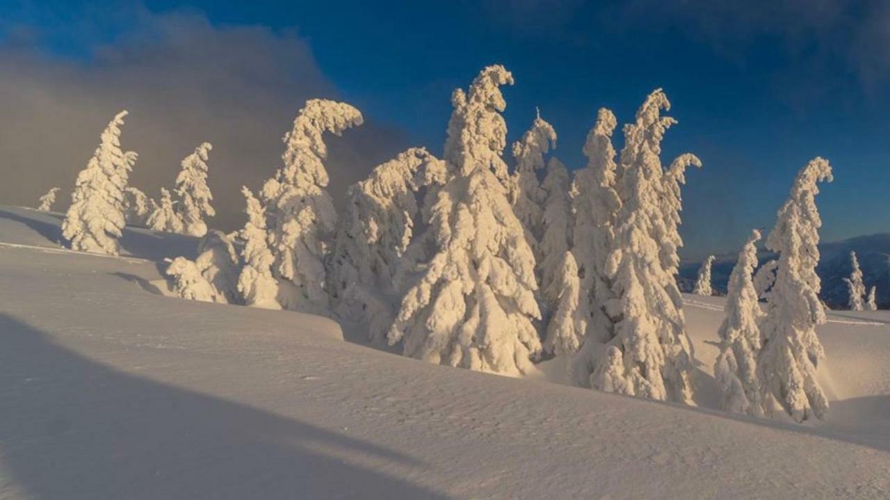 Alpengasthof Grobbauer Ξενοδοχείο Rottenmann Εξωτερικό φωτογραφία